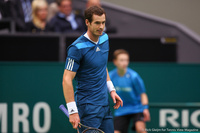 Andy Murray Rotterdam 2014