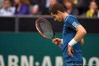 Andy Murray Rotterdam 2014