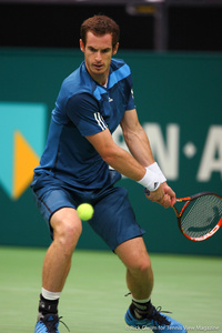 Andy Murray Rotterdam 2014