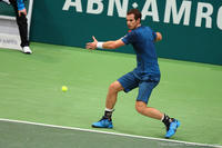 Andy Murray Rotterdam 2014