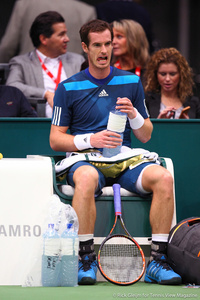 Andy Murray Rotterdam 2014