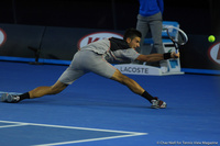 Novak Djokovic Australian Open 2014