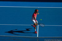 Roger Federer Australian Open 2014