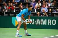 Jo-Wilfried Tsonga Rotterdam 2014