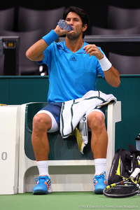 Fernando Verdasco Rotterdam 2014