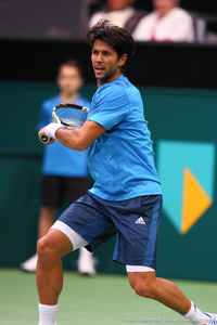 Fernando Verdasco Rotterdam 2014