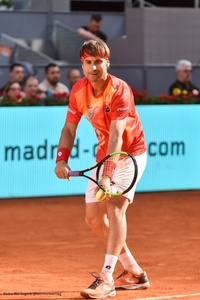 Madrid: David Ferrer