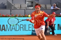 Madrid: David Ferrer