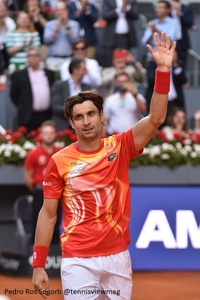 Madrid: David Ferrer