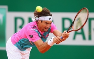 David Ferrer