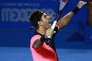 Juan Martin del Potro