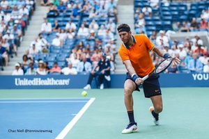 Juan Martin del Potro