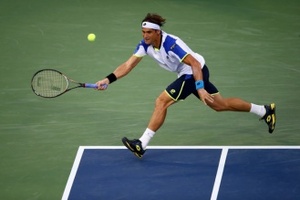 David Ferrer