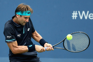 David Ferrer