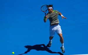 David Ferrer