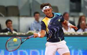 David Ferrer