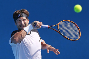 David Ferrer