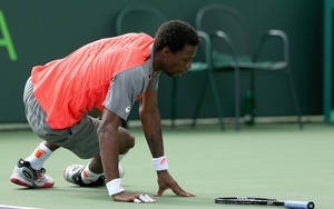 Gael Monfils