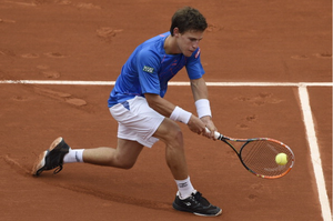 Diego Sebastian Schwartzman