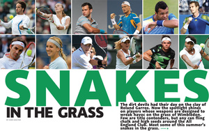 SNAKES IN THE GRASS SNAKES IN THE GRASS